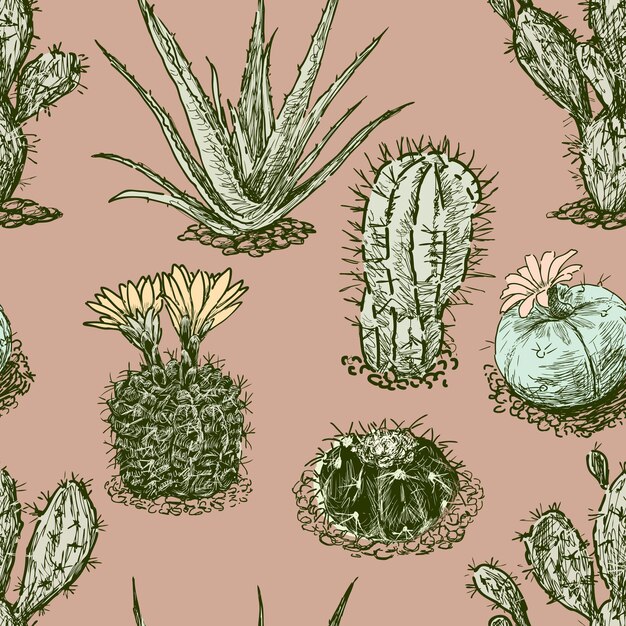 Cactuses pattern