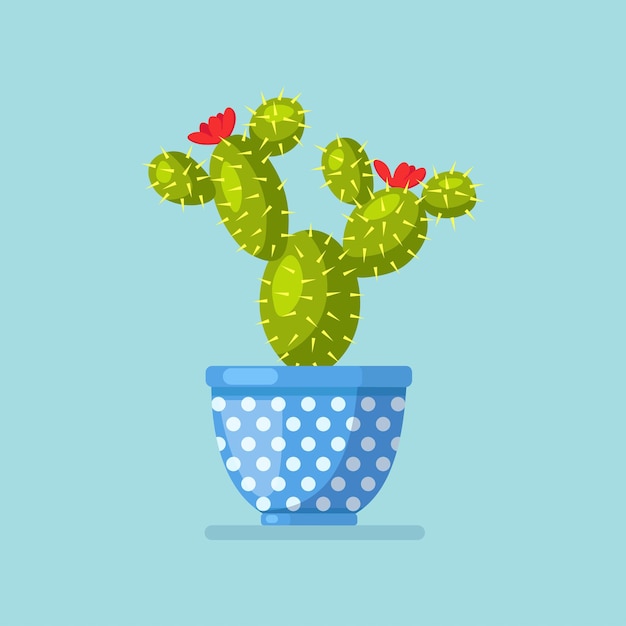 Vector cactuses potted plants with flowers concept