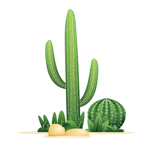 Cactuses and stones isolated on white. vector illustration.