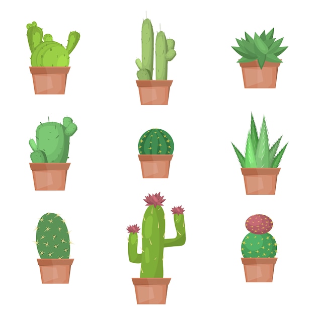 Cactusinzameling in vectorillustratie