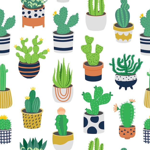 Cactuspatroon naadloze print met woestijn succulente installatie decoratieve exotische flora vectortextuur