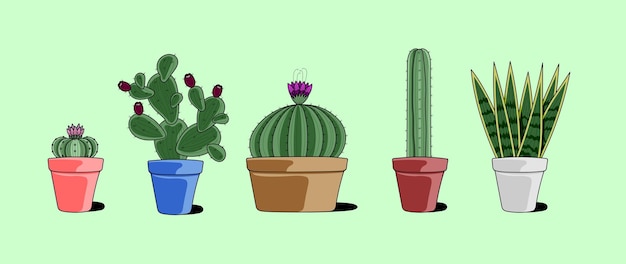 Vector cactuspot set