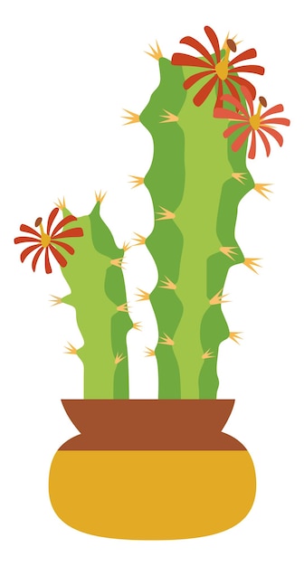 Vector cactussen bloem in pot. groen paar cactussen bloeien geïsoleerd op witte achtergrond
