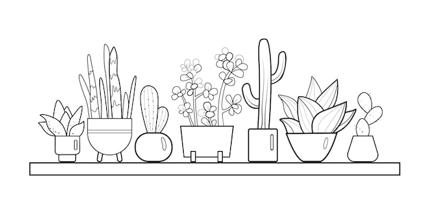 Cactussen en vetplanten doodle illustratie Kamerplanten in potten