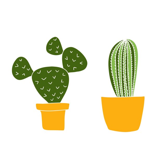 Cactussen en vetplanten geïsoleerd op witte achtergrond Kamerplanten in een vlakke stijl Vector afbeelding