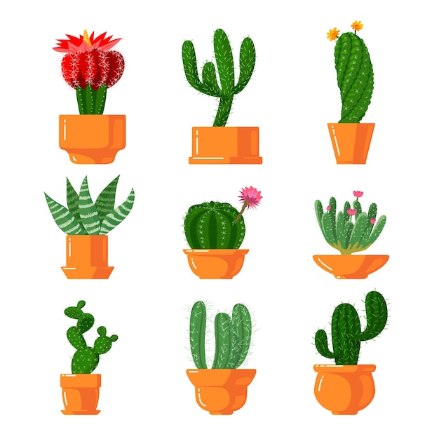 Cactussen en vetplanten icons set.