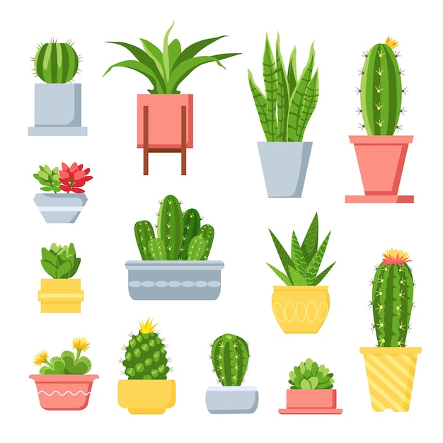Cactussen en vetplanten. Leuke cartooncactussen in potten. Mexicaanse exotische huisplant met stekels en bloemen. Decoratieve tuin sappige vector set. Illustratie Mexicaanse kamerplant, exotische flora in pot