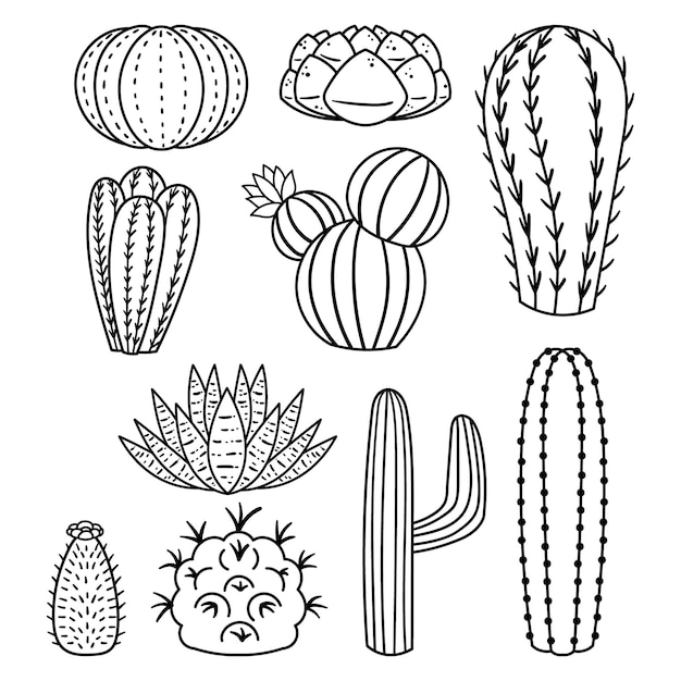 Vector cactussen lineaire iconen zijn eenvoudige, strakke grafische weergaven van cactusplanten, gekenmerkt door strakke lijnen en minimalistisch ontwerp die de essentie van cactussen overbrengen in een moderne stijl vectorillustratie