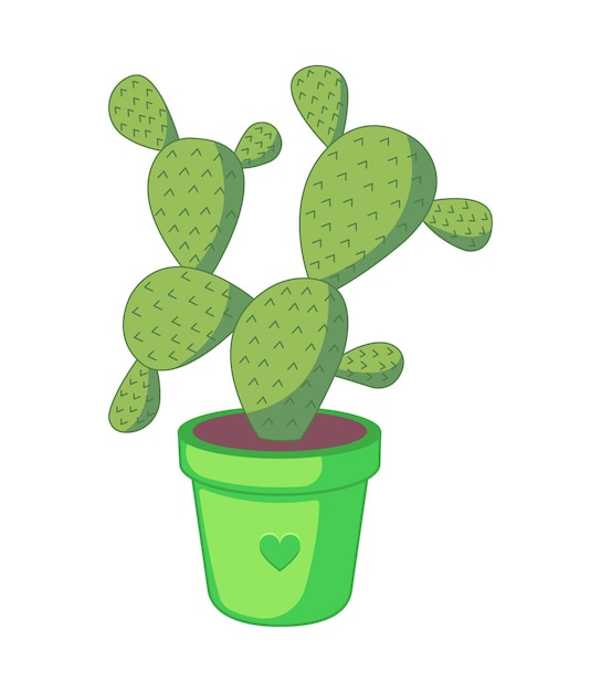 Cactussen