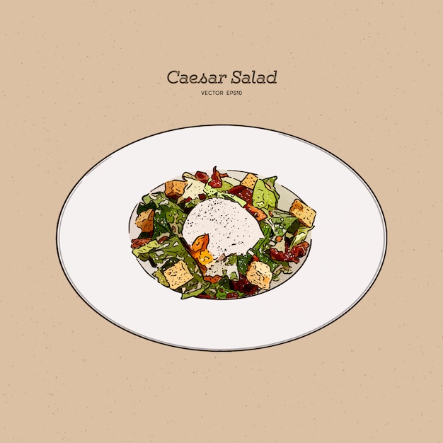 Vector caesar salad, hand draw sketch  .