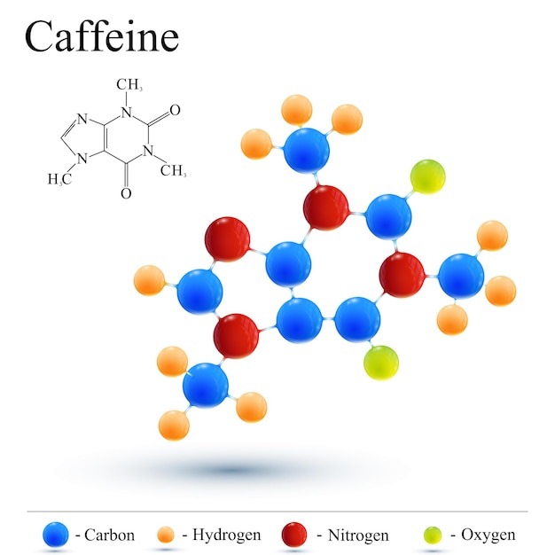 Vettore molecola di caffeina e caffè. icona moderna del logotipo.