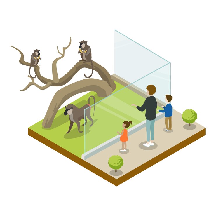 Vector cage with monkeys isometric 3d icon