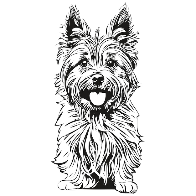 Cairn Terrier dog line illustration black and white ink sketch face portrait in vector realistic pet silhouette