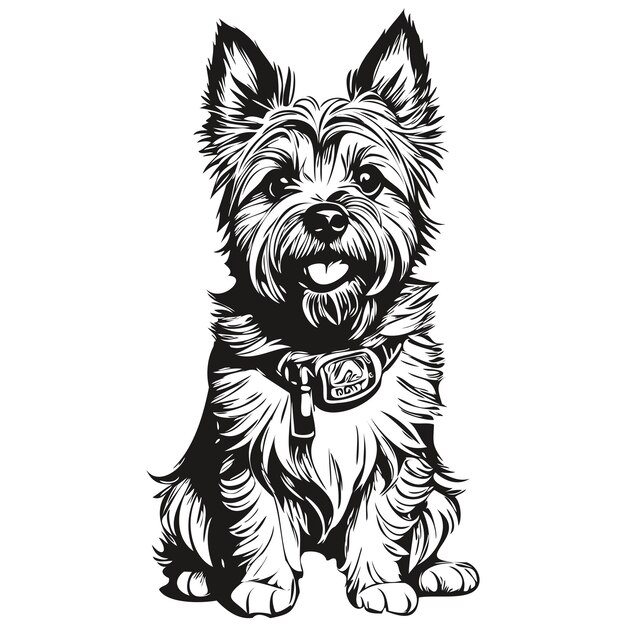 Cairn Terrier dog outline pencil drawing artwork black character on white background sketch drawing