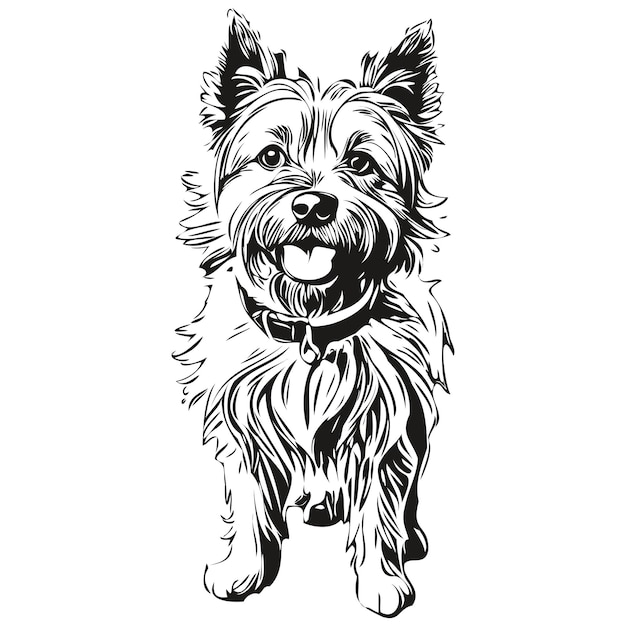 カーン・テリア犬のペットスケッチ イラスト 黒と白の刻ベクトルスケッチ