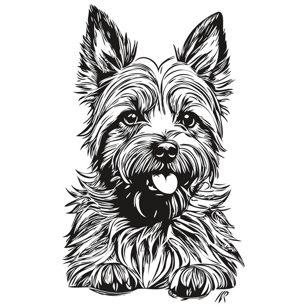 Vector cairn terrier hond contour potlood tekening kunstwerk zwart karakter op witte achtergrond realistisch ras huisdier