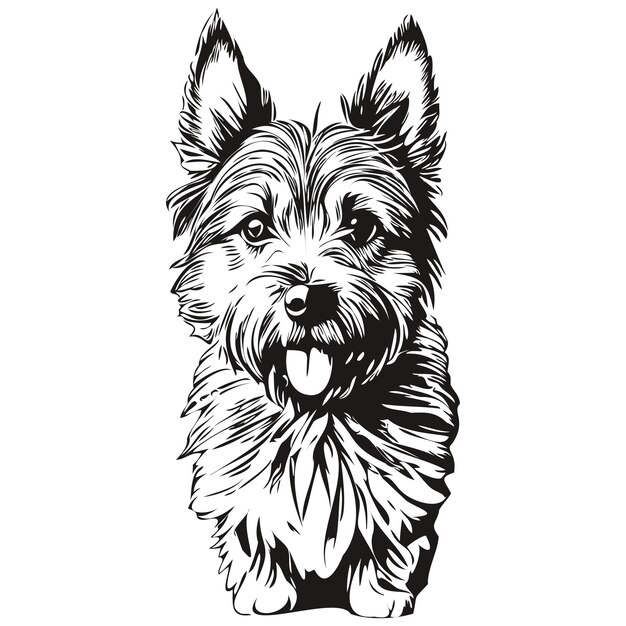 Cairn terrier hond gezicht vector portret grappige omtrek huisdier illustratie witte achtergrond realistisch ras huisdier