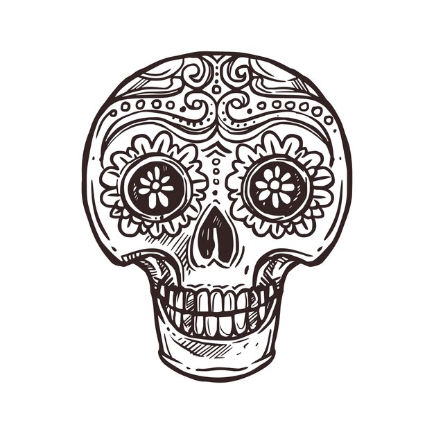 Vector calavera skull sketch cinco de mayo mexican icon