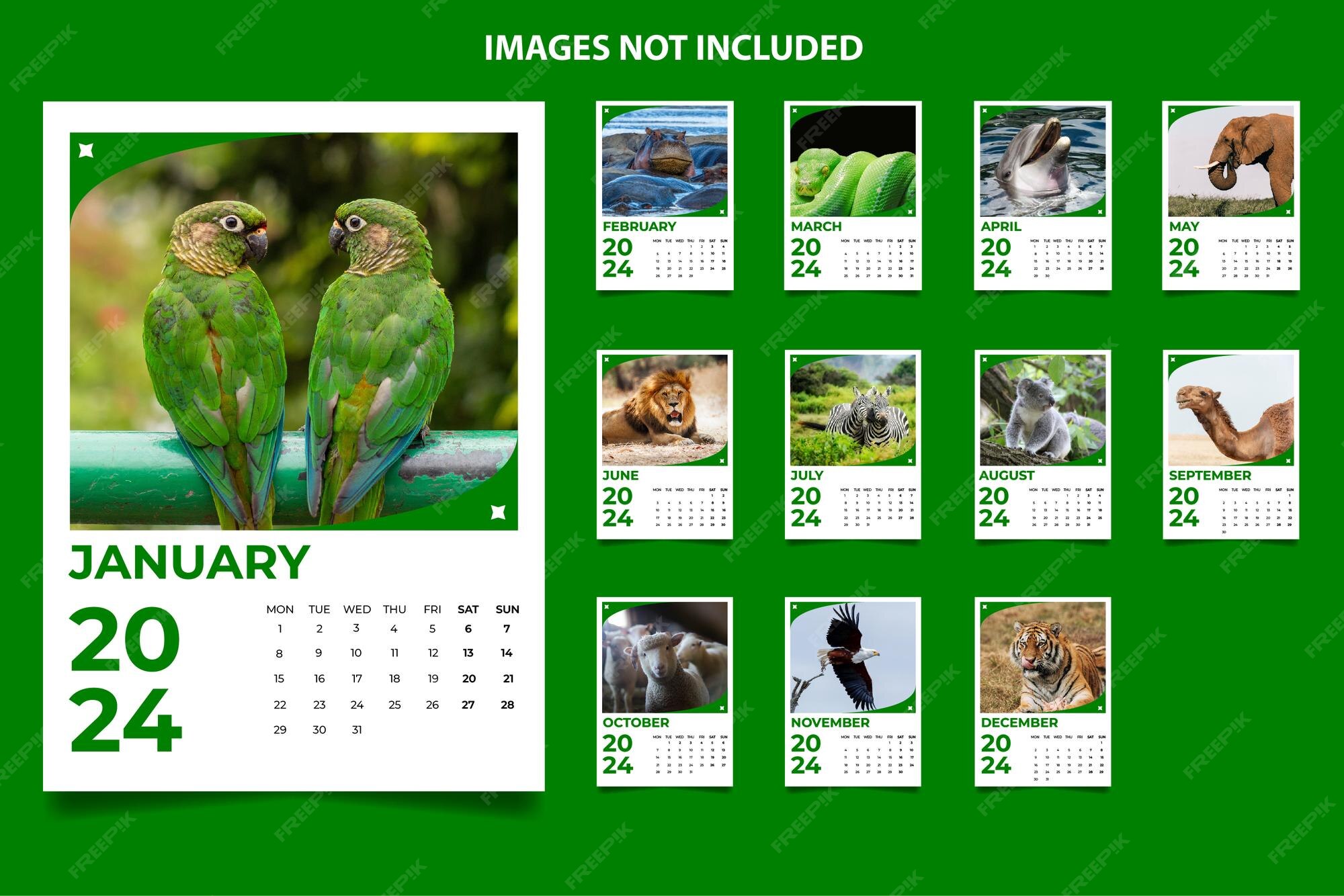 Premium Vector Calendar 2024 Template 01