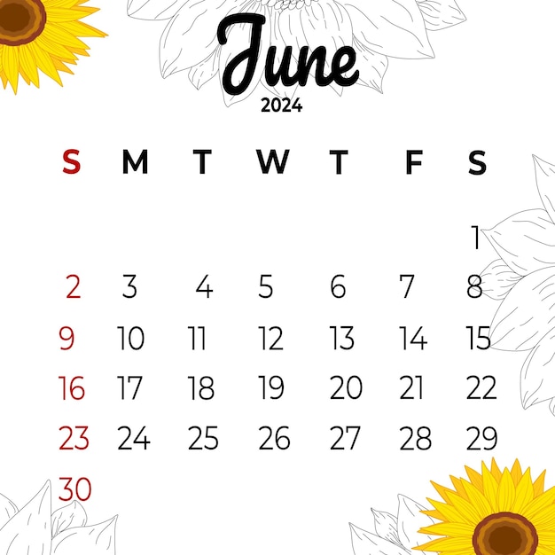 Vector calendar june 2024 with aesthetic flowers