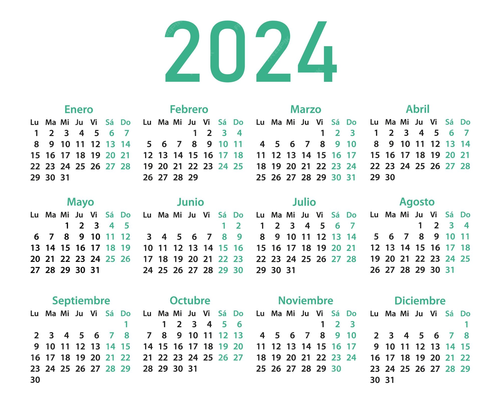 Premium vector calendar template for 2024 in spanish