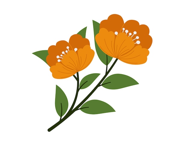 Vector calendula lente bloesem bloemen illustratie