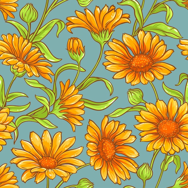 Calendula vector naadloos patroon