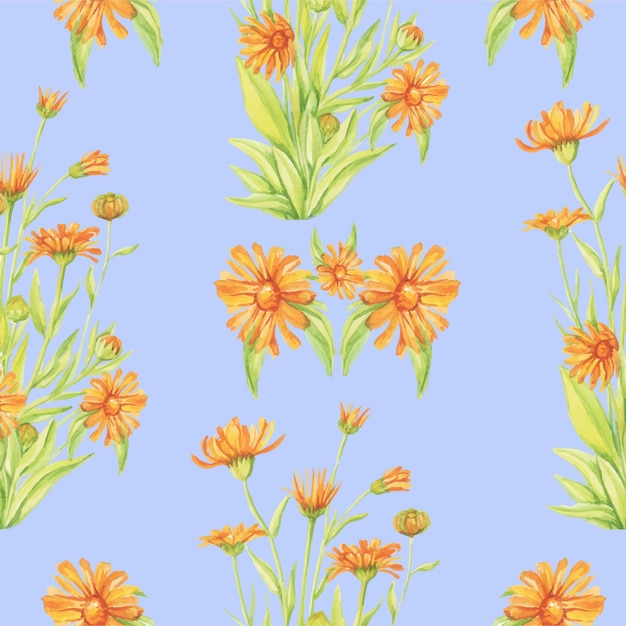 Calendula watercolor pattern