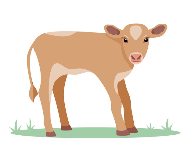 Calf icon Baby cow Best Beef Cattle Breed Dairy cattle Farm animal