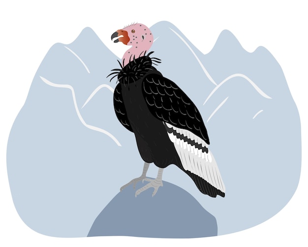 California condor sitting on a blue mountain landscape animals of north america