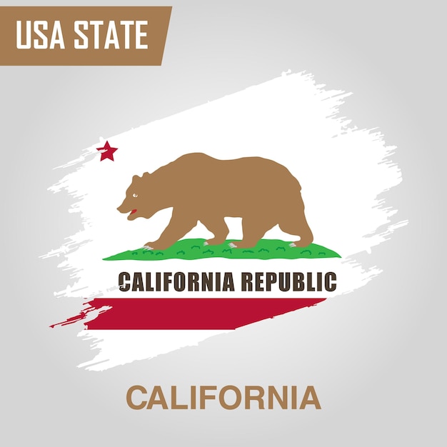 California State Region of United States of America Grunge Vector flag template