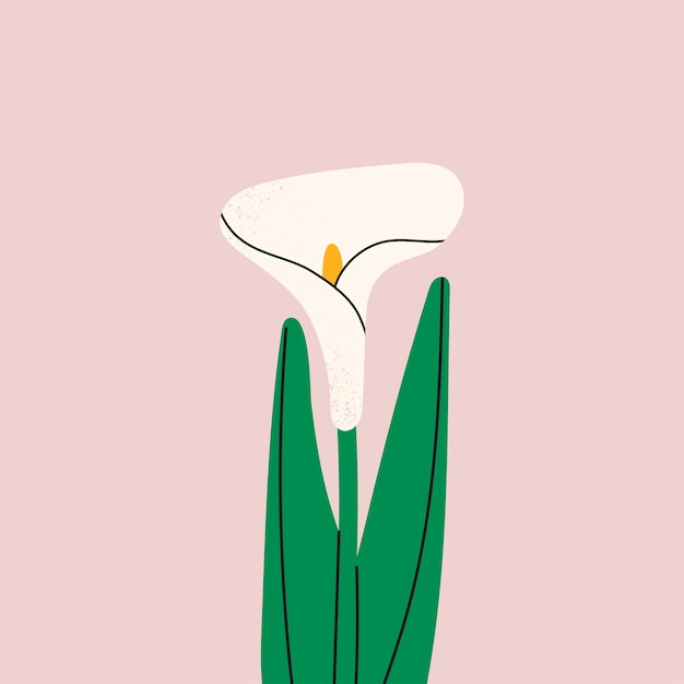 Calla lelie bloem met de hand getekende vector illustratie