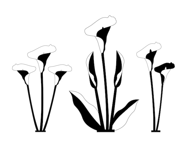 Calla lelie bloemen geïsoleerde vector silhouetten