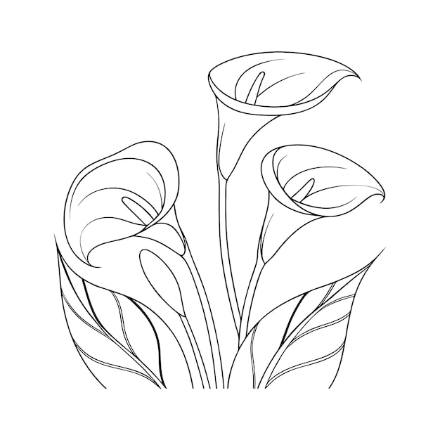 Calla Lilies Svg