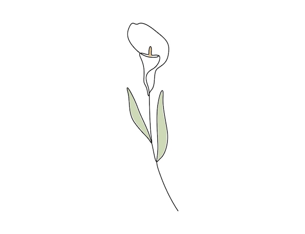 Calla lily één continue lijn tekenen vector illustratie