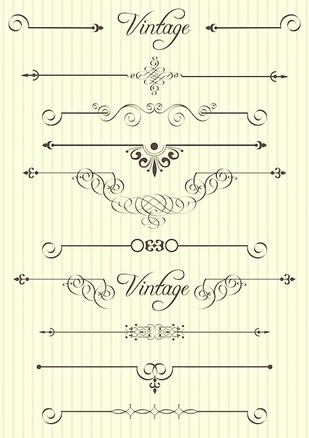 Vector calligraphic elements and page decor