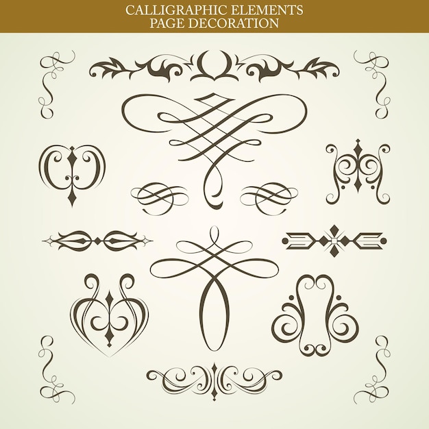 Vector calligraphic elements