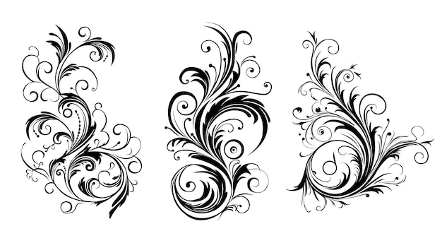 Vector calligraphic floral design elements and page decoration elements to embellish your layout