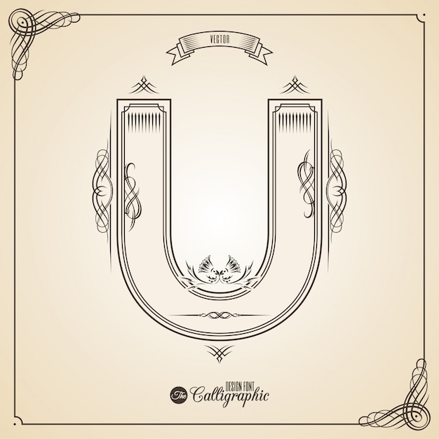 Calligraphic Fotn with Border, Frame Elements and Invitation Design Symbols. 