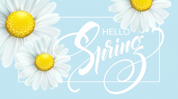 Calligraphic inscription hello spring with spring flower - blooming white daisy.