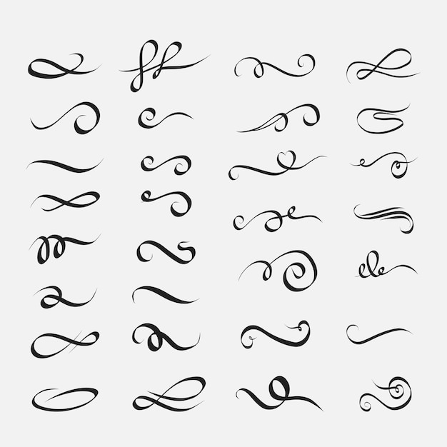 Vector calligraphic lines. decorative flourishes  ornamental swirls  and vintage scroll curls