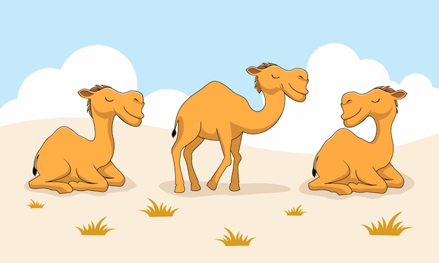 Camel cartoon desert