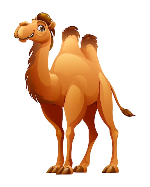 Vector camel cartoon vector illustratie geïsoleerd op witte achtergrond