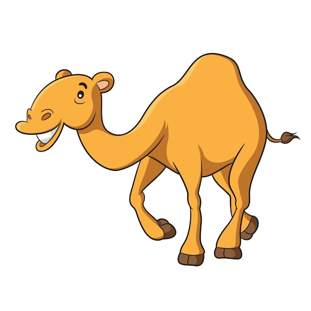 Camel Cartoon