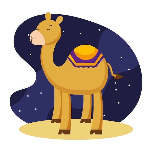 Vector camel cartoons in the night.