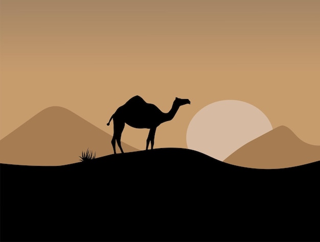 Vector camel in the desert at sunset