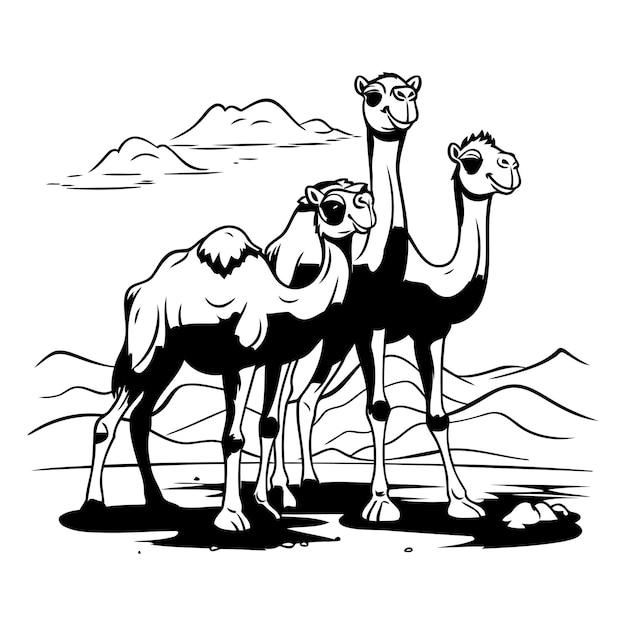 Vector camel in the desert vector illustration black and white