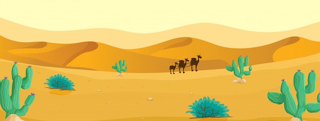 camel at the desert