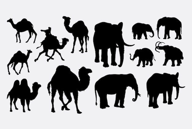 Vettore sagoma animale cammello ed elefante