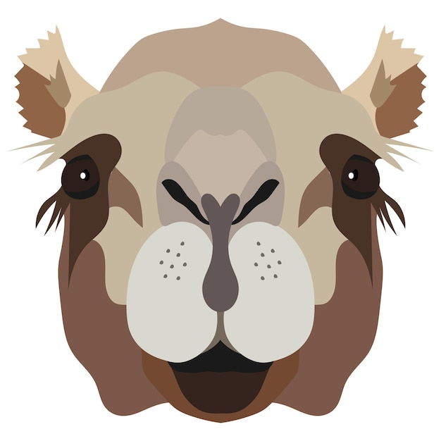 Camel head An animal with a detailed drawing of parts of the face in brown The camel is looking straight at you Vector cartoon illustration